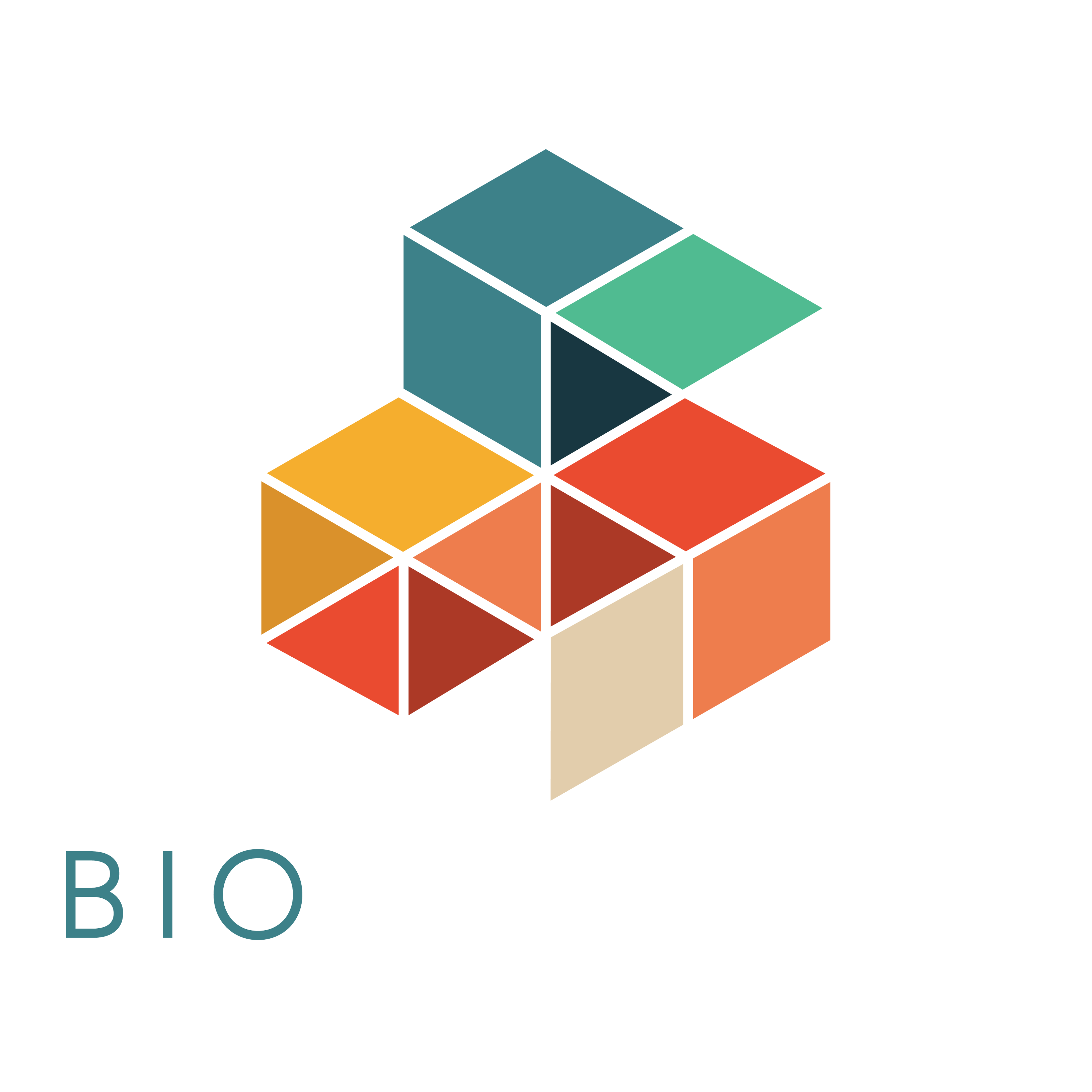 BioInsights Logo-Square whiteout png