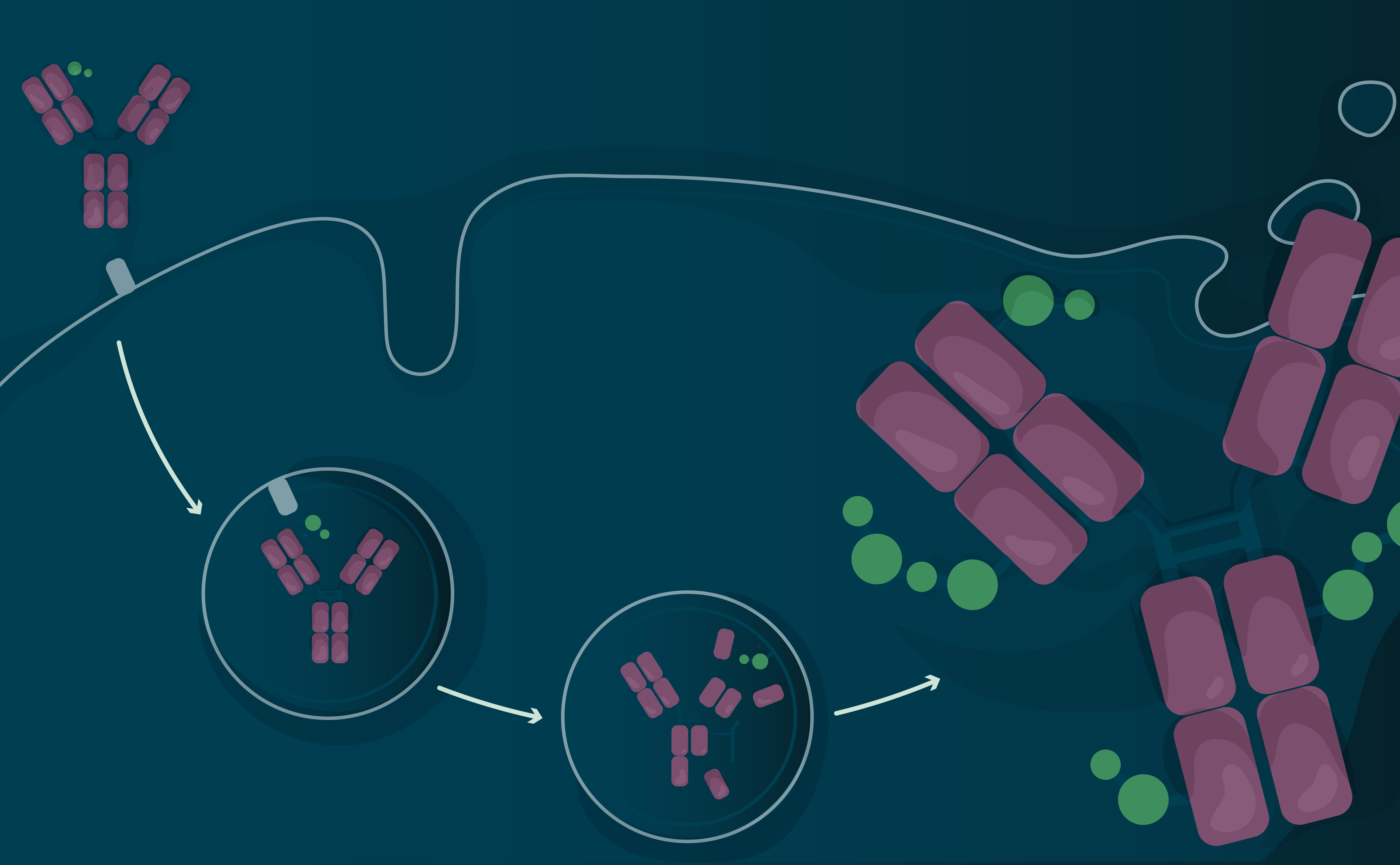 Antibody-drug conjugates: precision target therapeutics