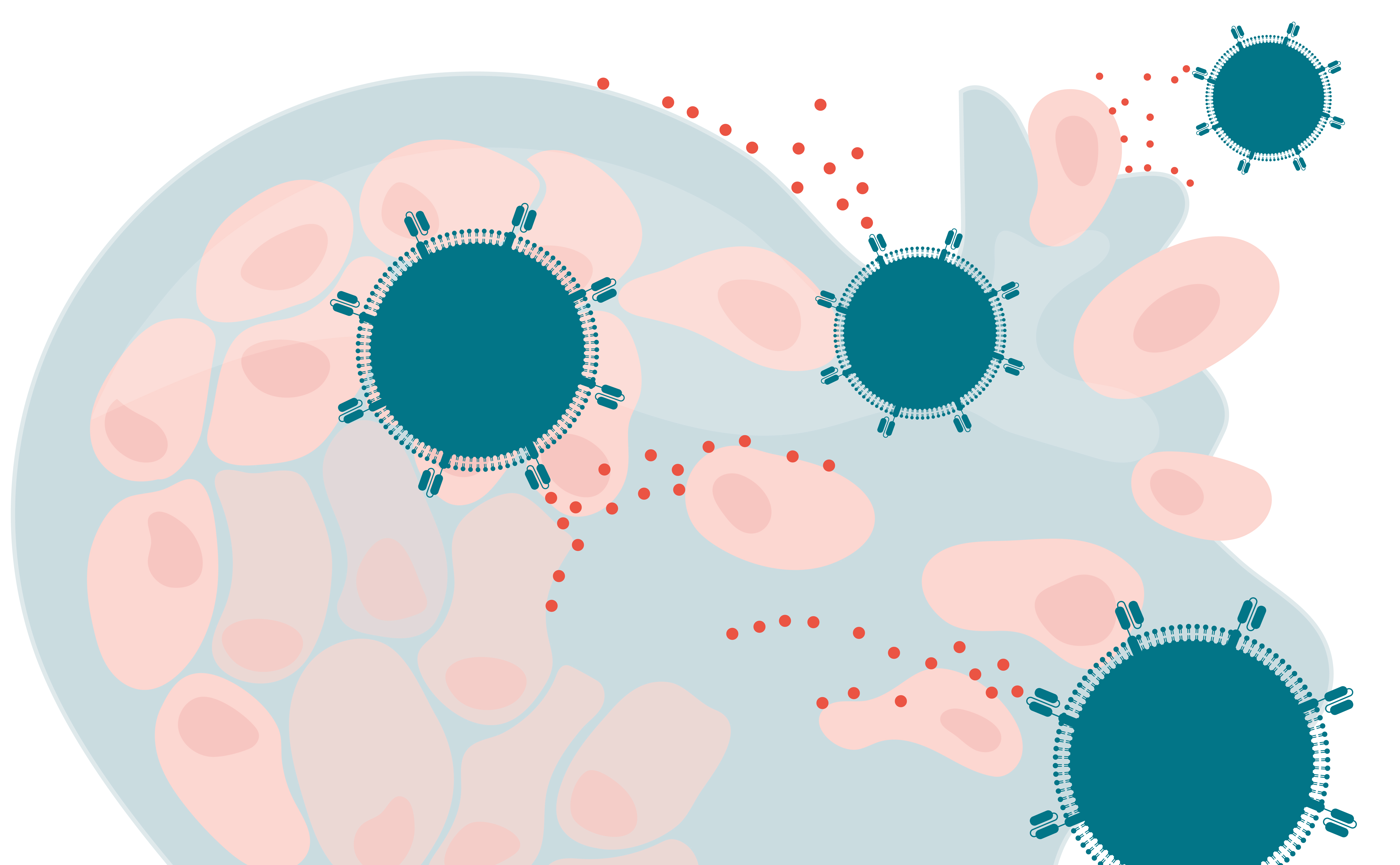 Engineering armored CAR-T cells to overcome the solid tumor microenvironment