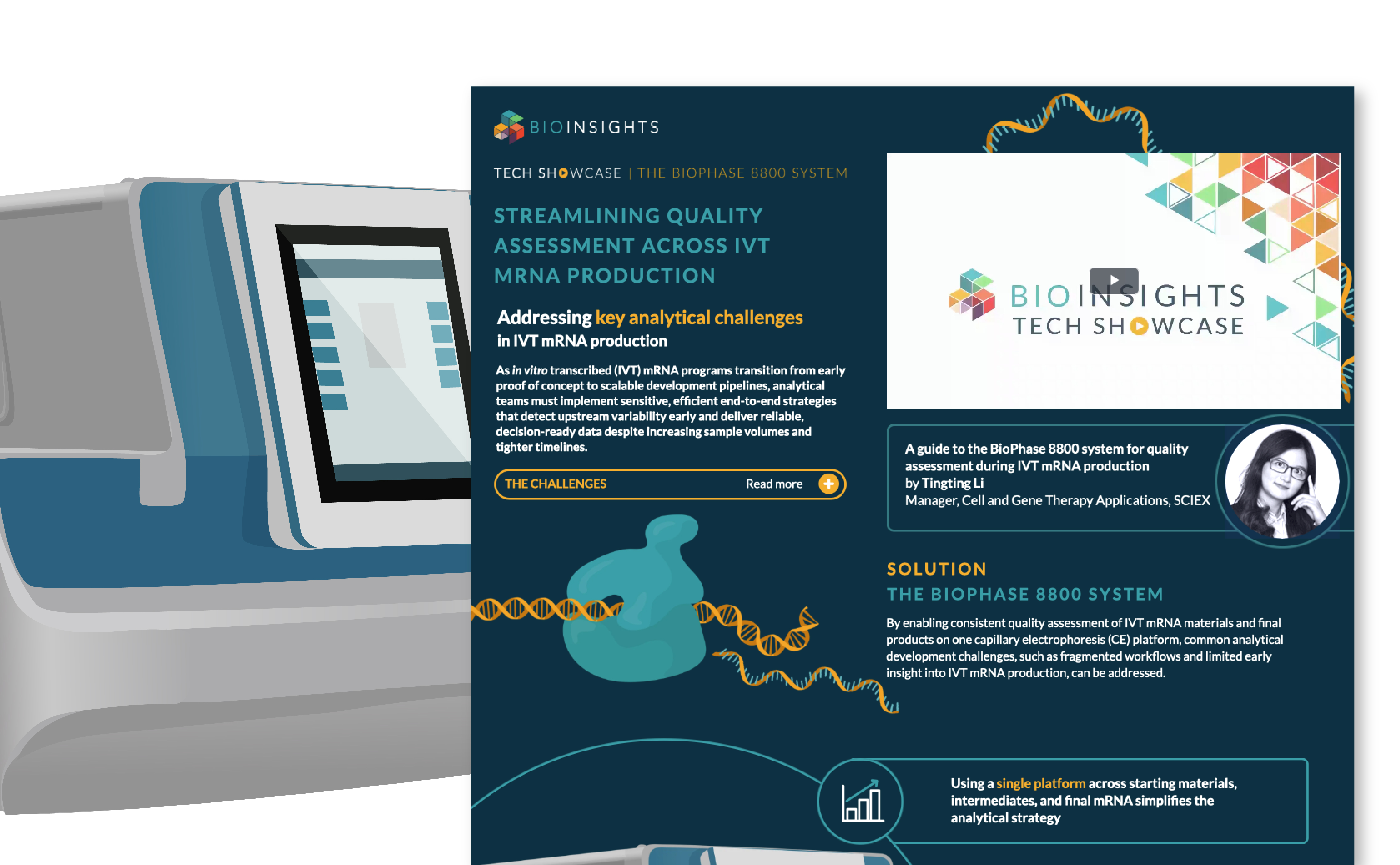 Streamlining quality assessment across IVT mRNA production